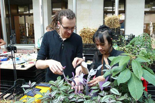 Les insectes artificiels, vue 3