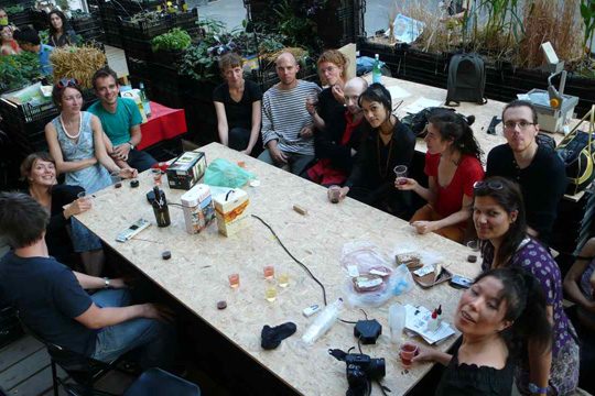 Les insectes artificiels, vue 4