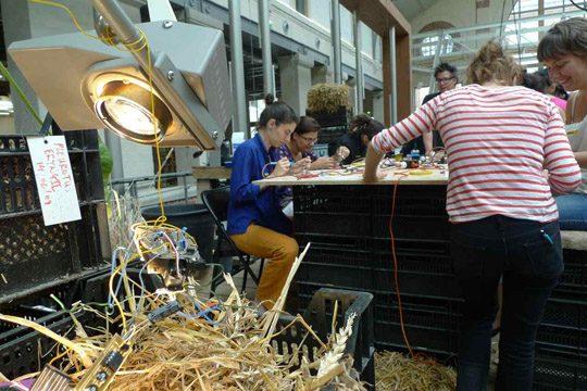 Les insectes artificiels, vue 5