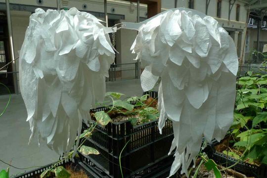 Les insectes artificiels, vue 8