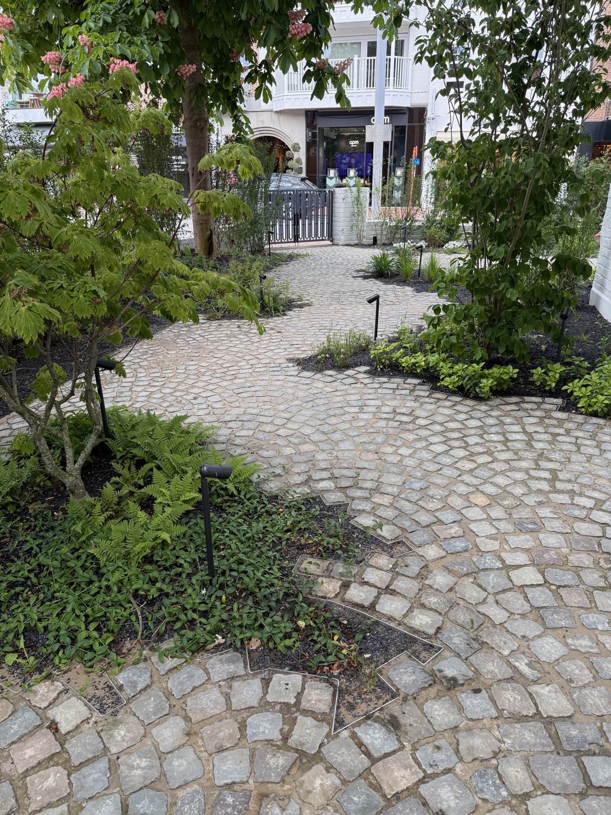 Jardin H, vue 7