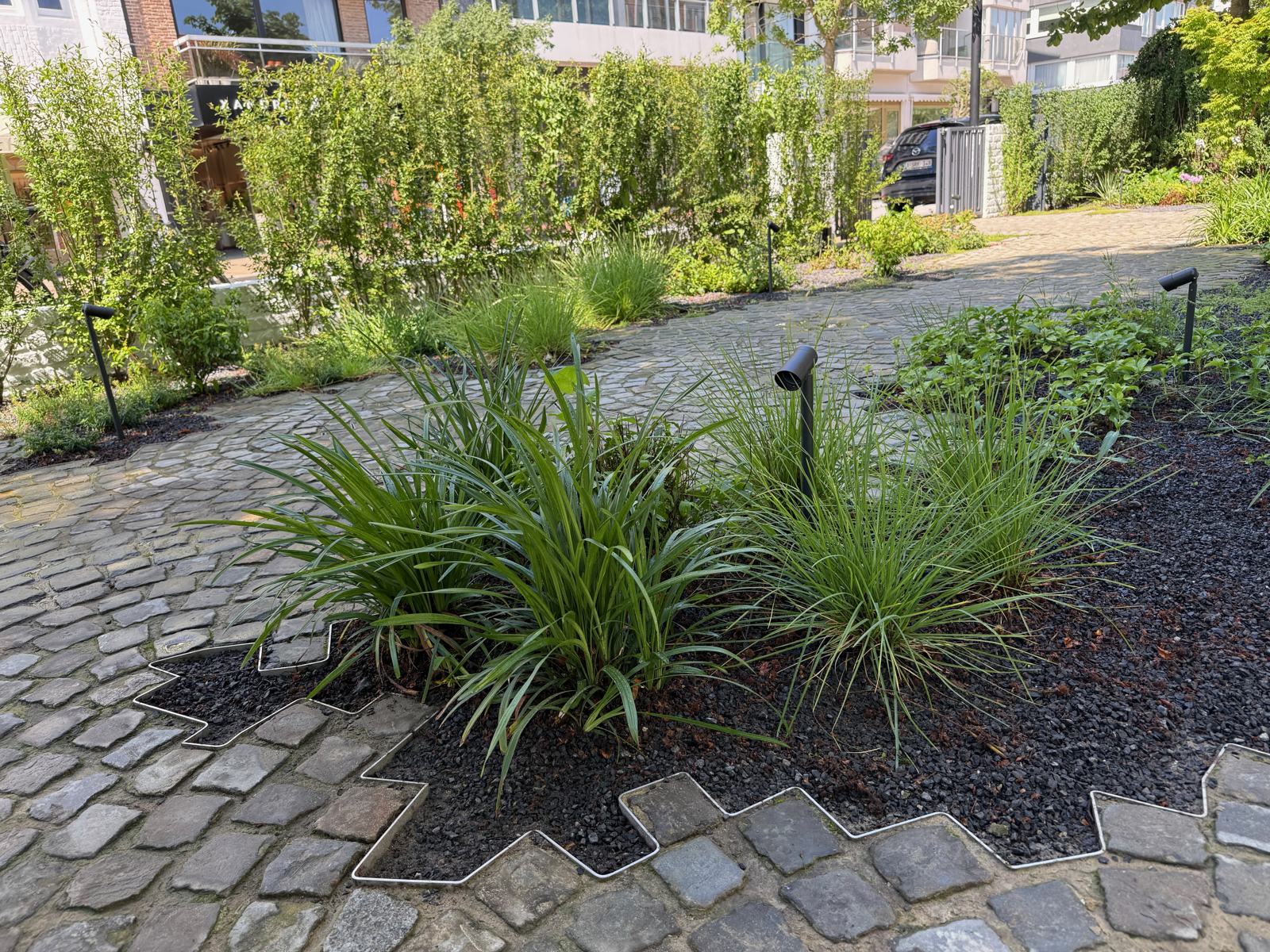 Jardin H, vue 8