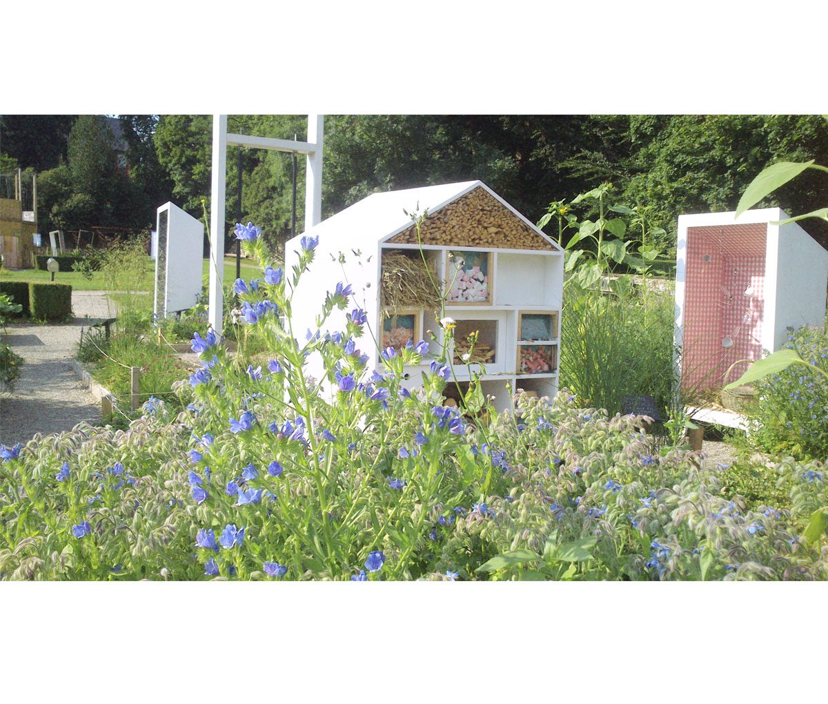 Si doux – Follow the white rabbit, vue 4